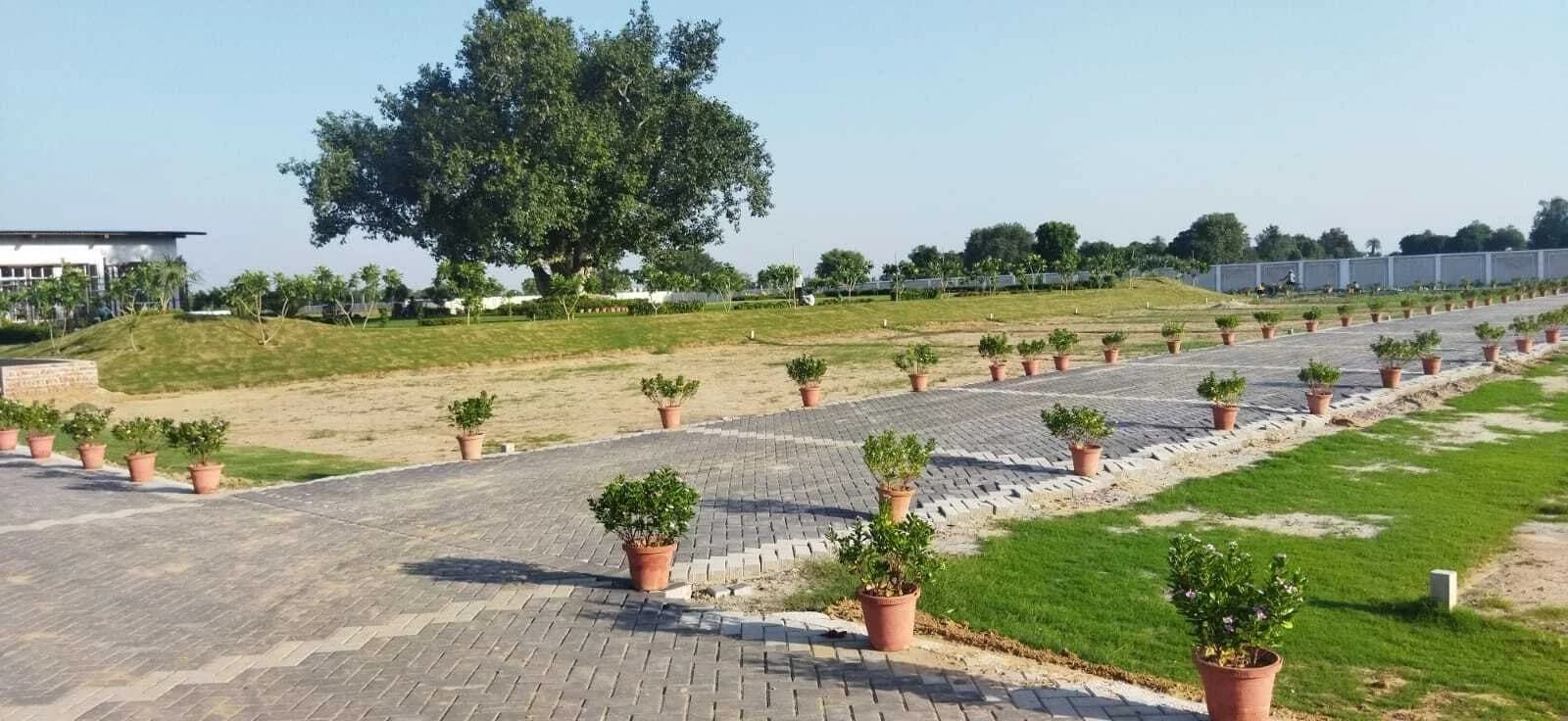 Plots in Delhi